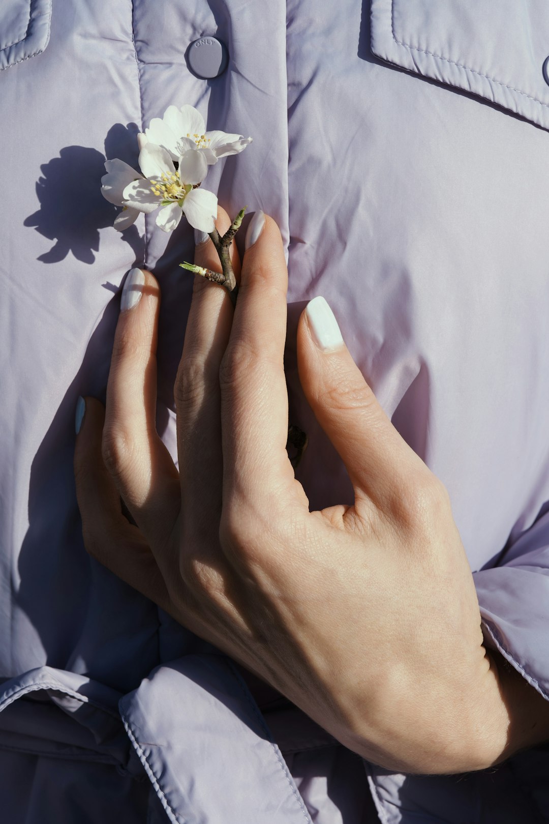 Hand holding a flower against a lavender jacket.